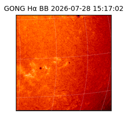 gong - 2026-07-28T15:17:02