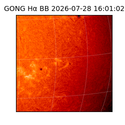 gong - 2026-07-28T16:01:02