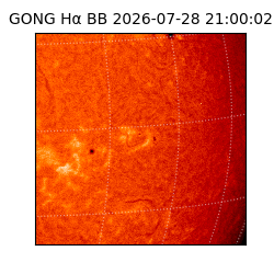 gong - 2026-07-28T21:00:02