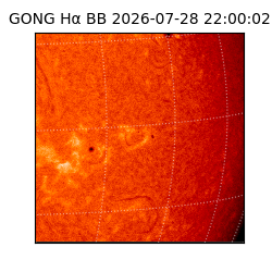 gong - 2026-07-28T22:00:02