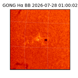 gong - 2026-07-28T01:00:02