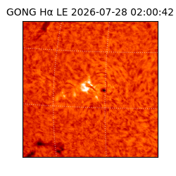 gong - 2026-07-28T02:00:42