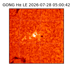 gong - 2026-07-28T05:00:42