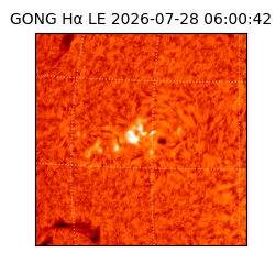 gong - 2026-07-28T06:00:42