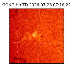 gong - 2026-07-28T07:18:22