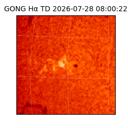 gong - 2026-07-28T08:00:22