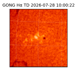 gong - 2026-07-28T10:00:22