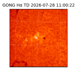 gong - 2026-07-28T11:00:22