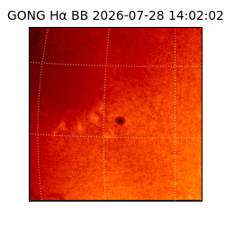 gong - 2026-07-28T14:02:02