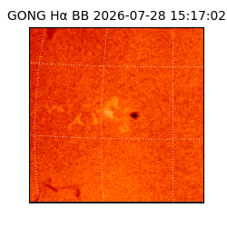 gong - 2026-07-28T15:17:02