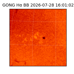 gong - 2026-07-28T16:01:02