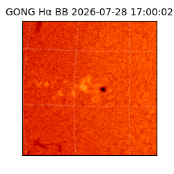 gong - 2026-07-28T17:00:02