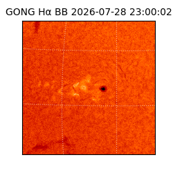 gong - 2026-07-28T23:00:02