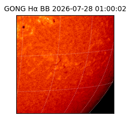 gong - 2026-07-28T01:00:02