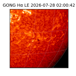gong - 2026-07-28T02:00:42