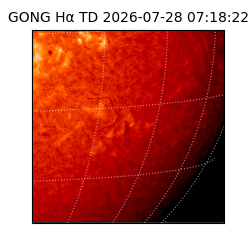 gong - 2026-07-28T07:18:22