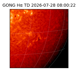 gong - 2026-07-28T08:00:22