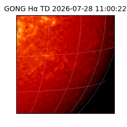 gong - 2026-07-28T11:00:22