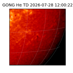 gong - 2026-07-28T12:00:22