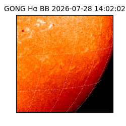 gong - 2026-07-28T14:02:02