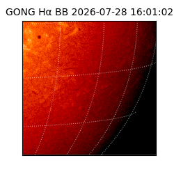gong - 2026-07-28T16:01:02