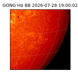 gong - 2026-07-28T19:00:02