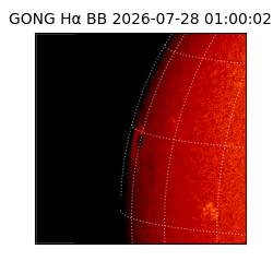 gong - 2026-07-28T01:00:02