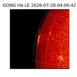 gong - 2026-07-28T04:00:42