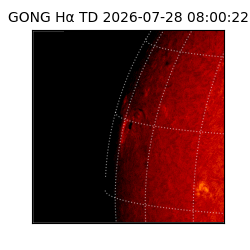 gong - 2026-07-28T08:00:22