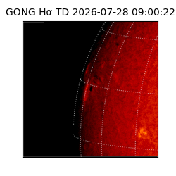 gong - 2026-07-28T09:00:22