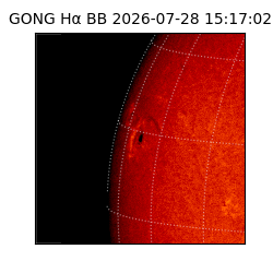 gong - 2026-07-28T15:17:02
