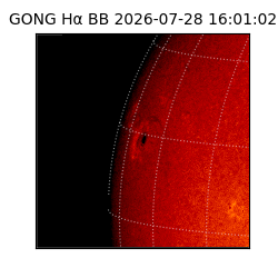 gong - 2026-07-28T16:01:02