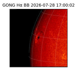 gong - 2026-07-28T17:00:02