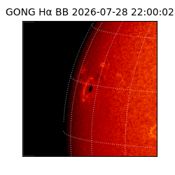 gong - 2026-07-28T22:00:02