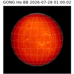gong - 2026-07-28T01:00:02