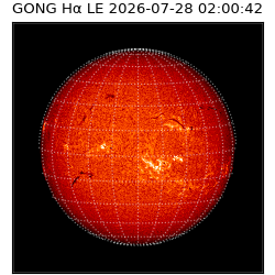 gong - 2026-07-28T02:00:42