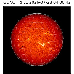 gong - 2026-07-28T04:00:42
