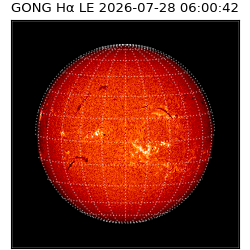 gong - 2026-07-28T06:00:42