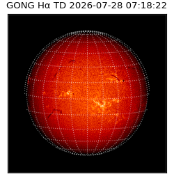 gong - 2026-07-28T07:18:22