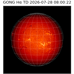 gong - 2026-07-28T08:00:22
