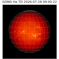 gong - 2026-07-28T09:00:22