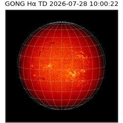 gong - 2026-07-28T10:00:22