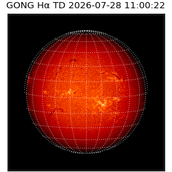 gong - 2026-07-28T11:00:22