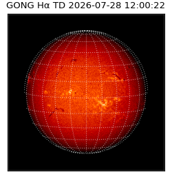gong - 2026-07-28T12:00:22