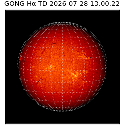 gong - 2026-07-28T13:00:22