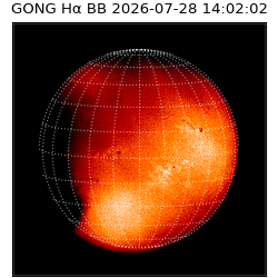 gong - 2026-07-28T14:02:02
