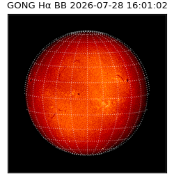 gong - 2026-07-28T16:01:02