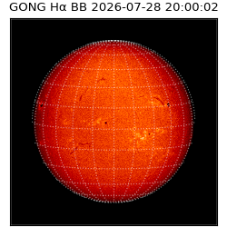 gong - 2026-07-28T20:00:02