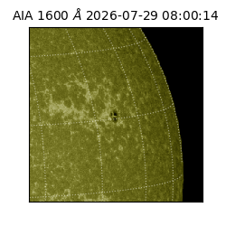 saia - 2026-07-29T08:00:14.123000