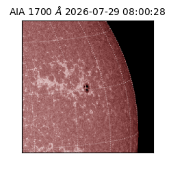 saia - 2026-07-29T08:00:28.716000